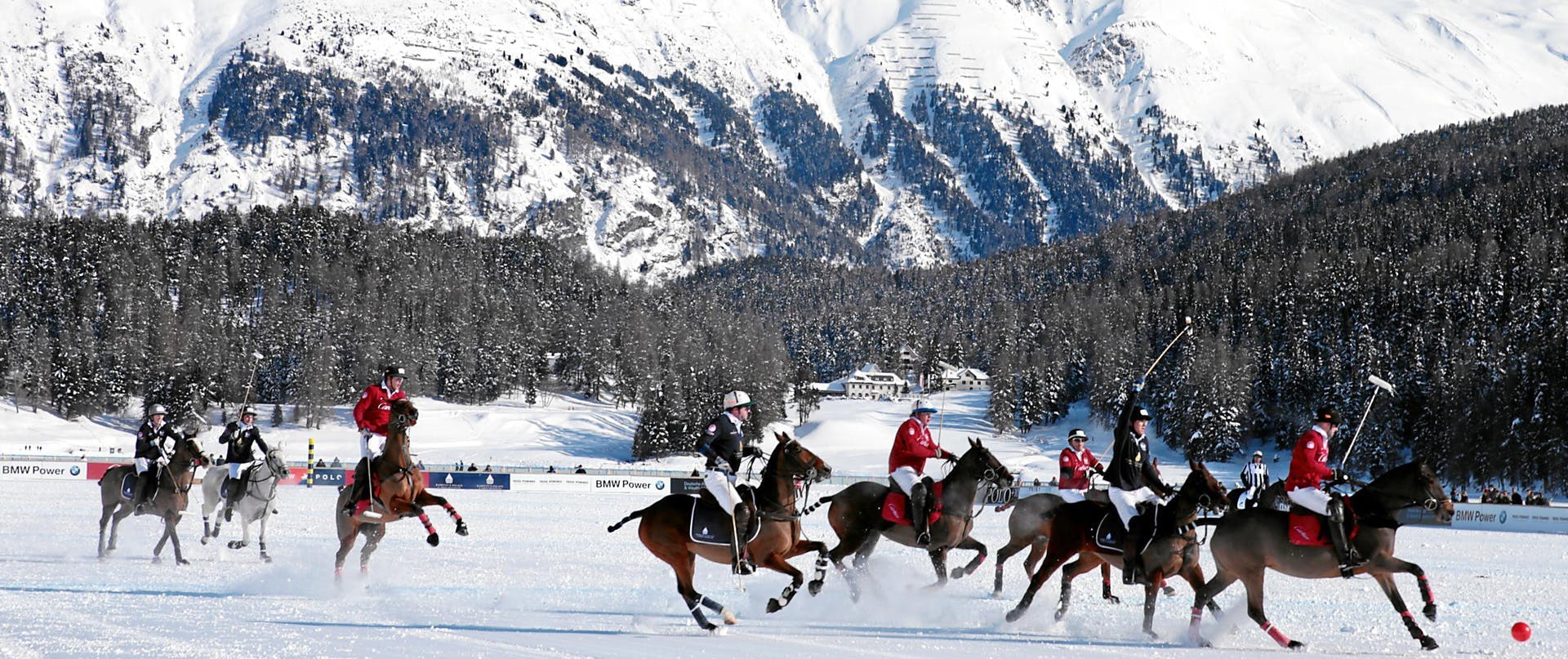 polo auf schnee wintersport polo st. moritz st. moritz sport snow polo st. moritz engadin engadine winter human person animal mammal horse equestrian people