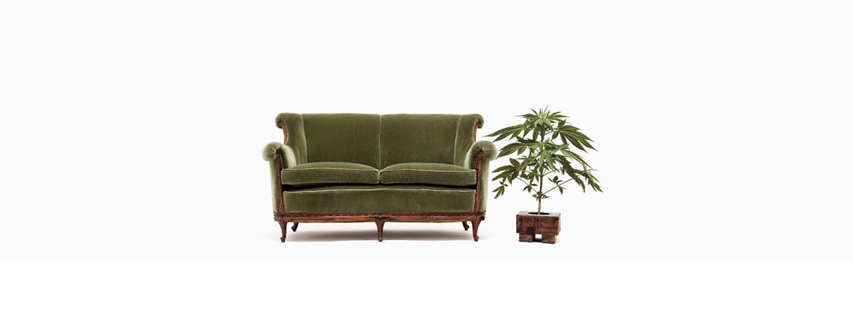furniture couch armchair