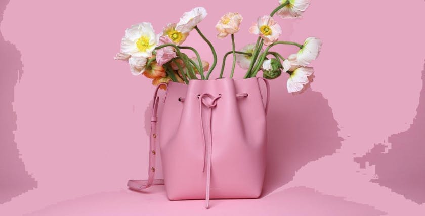 bag accessory accessories handbag