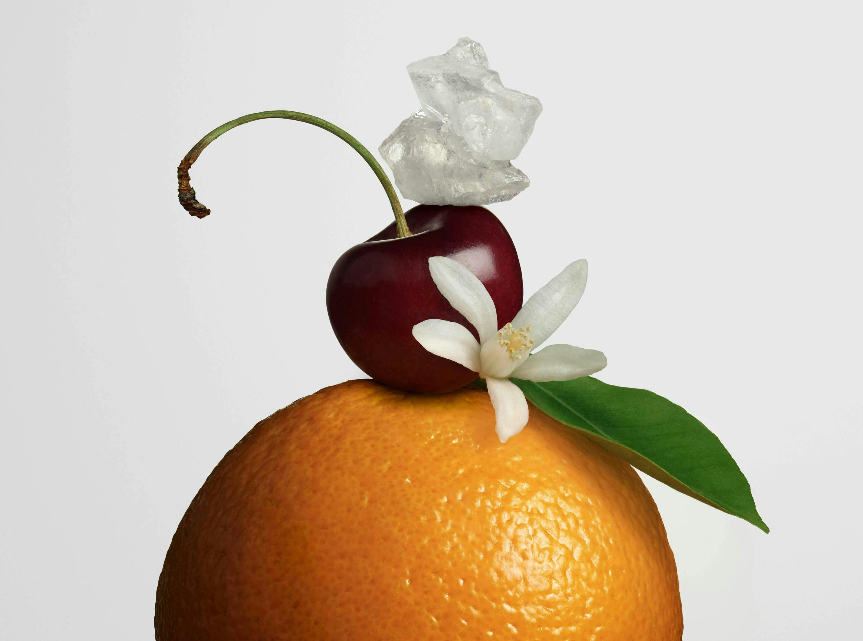 plant fruit food citrus fruit grapefruit produce