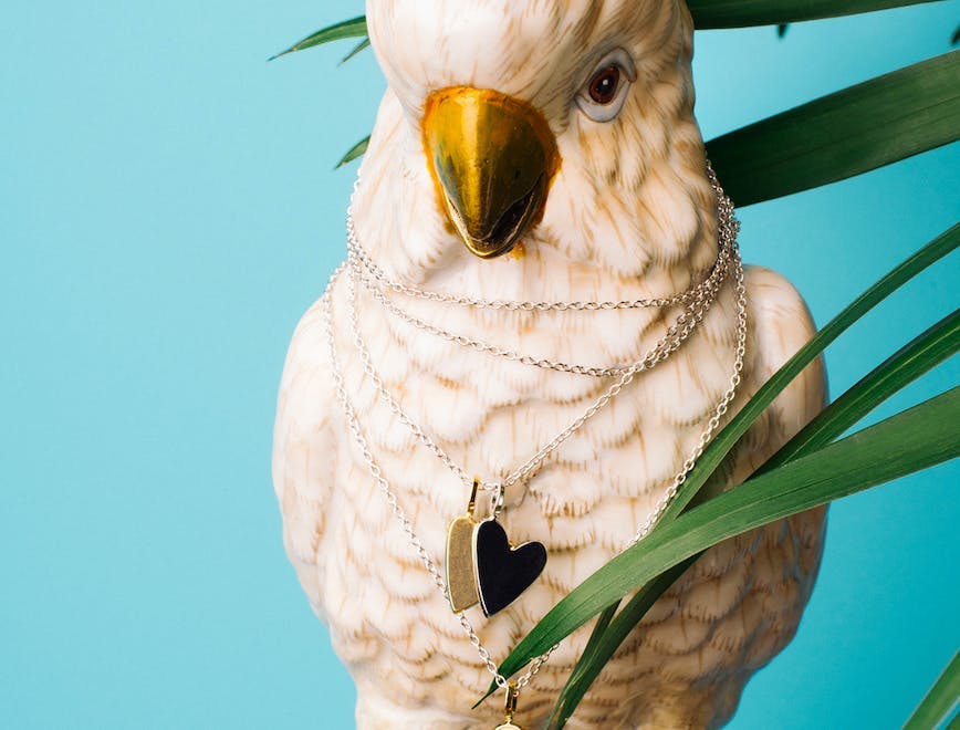 animal bird cockatoo parrot mammal canine pet dog