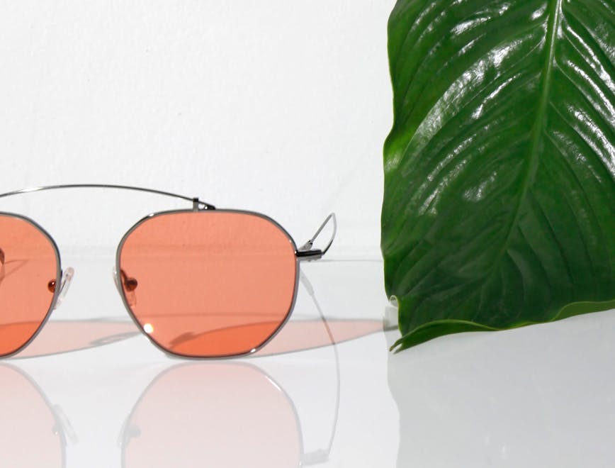sunglasses accessories accessory glasses plant