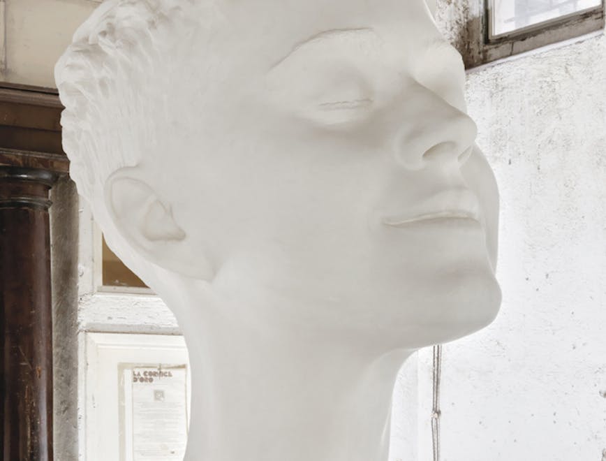 head sculpture art