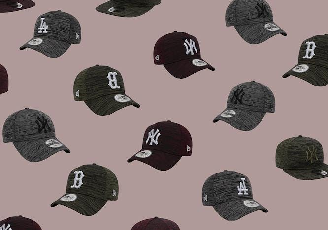 clothing apparel bird animal hat cap baseball cap