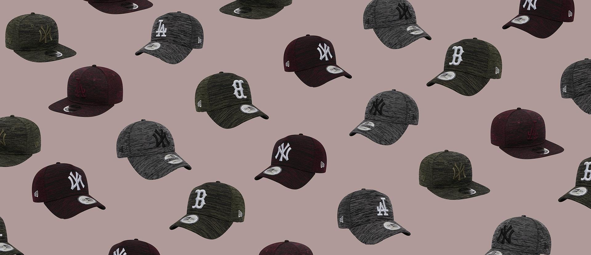apparel clothing bird animal hat cap baseball cap