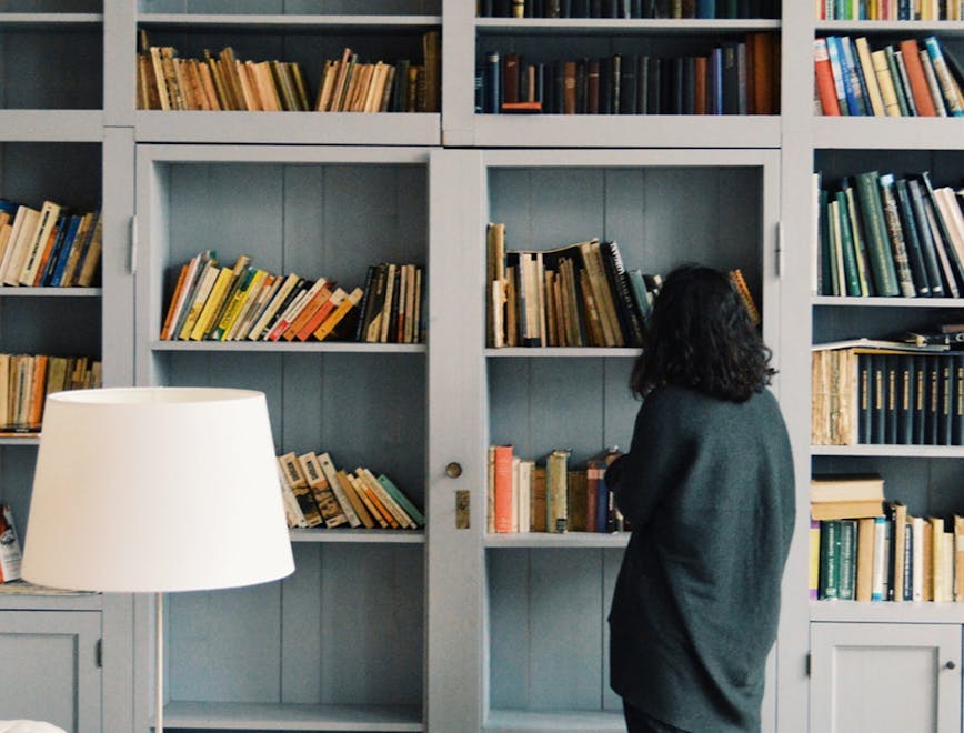 furniture bookcase person human shelf