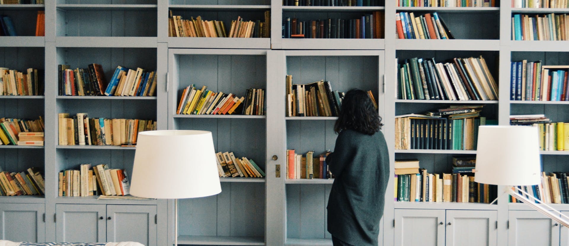 furniture bookcase human person shelf