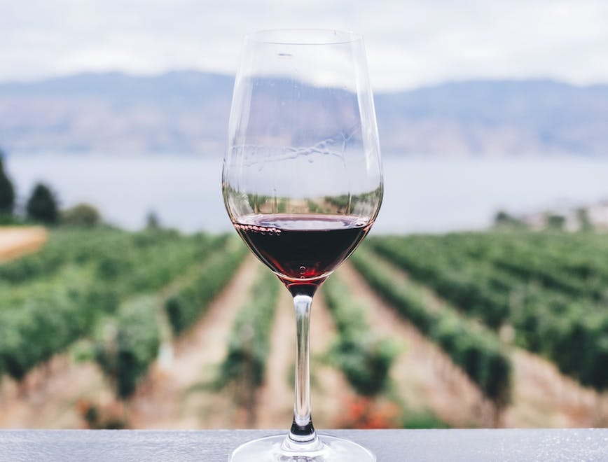 Le aste dei vini da non perdere nell'autunno 2018