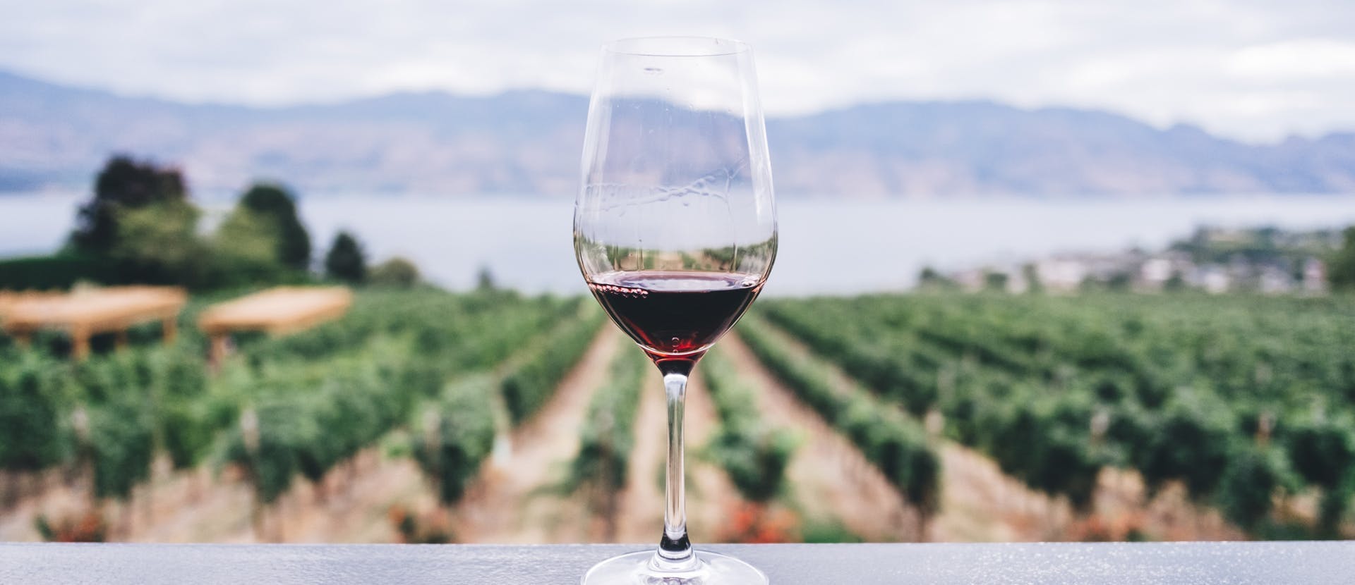 Le aste dei vini da non perdere nell'autunno 2018