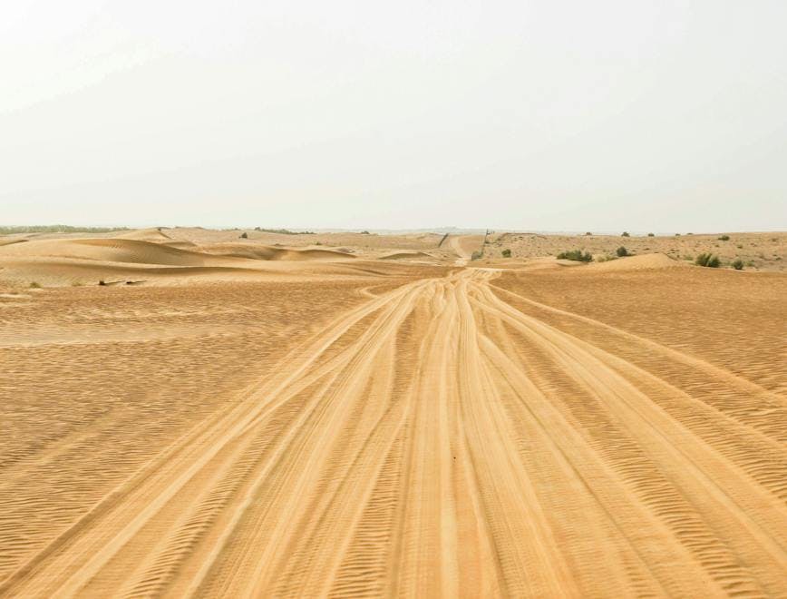 soil nature outdoors sand desert dune