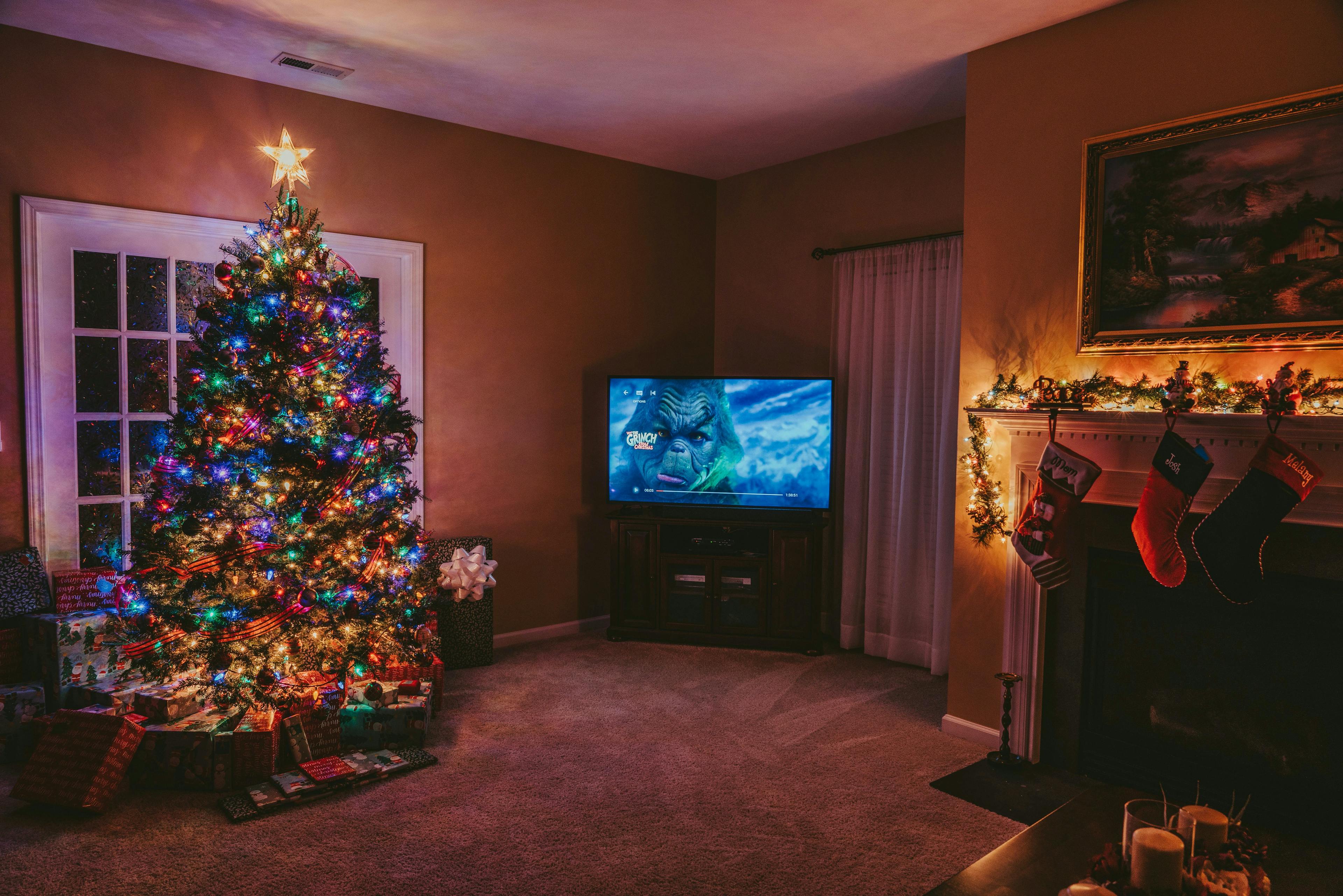 screen monitor electronics plant tree christmas tree tv indoors interior design entertainment center