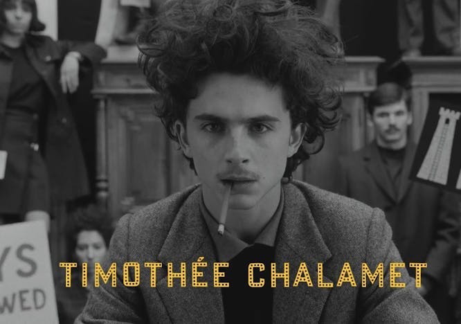 timothee chalamet  the french dispatch wes anderson film 2020
