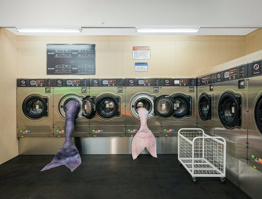 laundry bird animal appliance washer