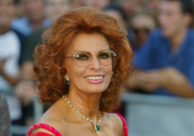 Nella foto Un ritratto di Sophia Loren 