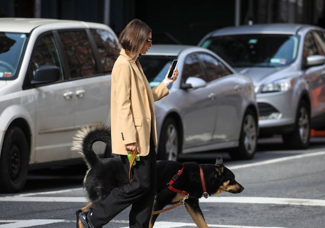 new york tarmac car dog road clothing person tire pedestrian wheel alloy wheel