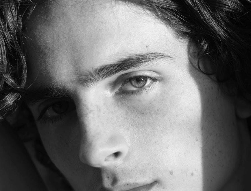 Timothée Chalame by Hedi Slimane per Document