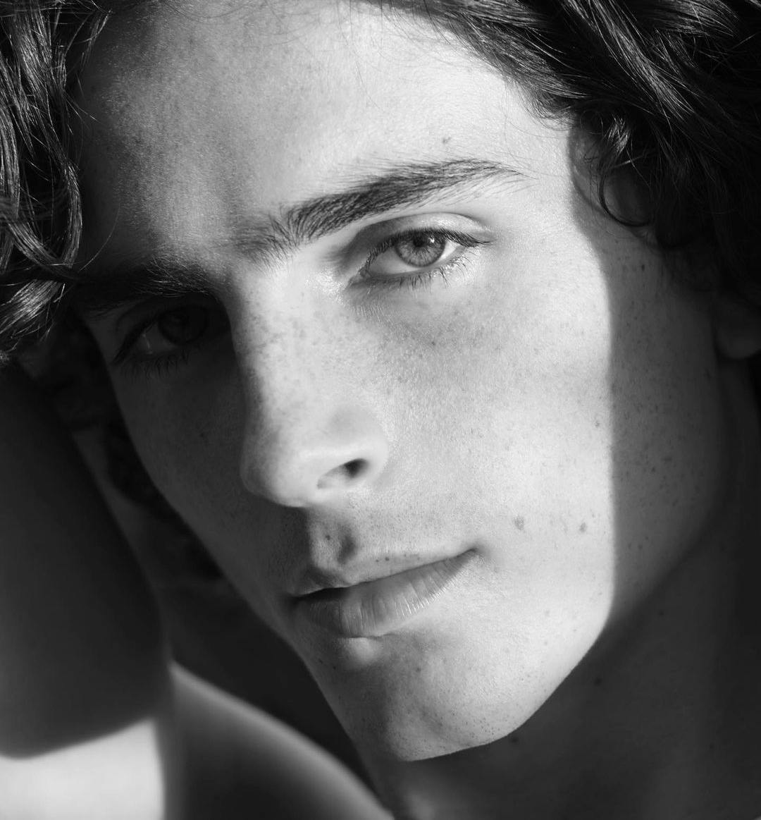 Timothée Chalame by Hedi Slimane per Document