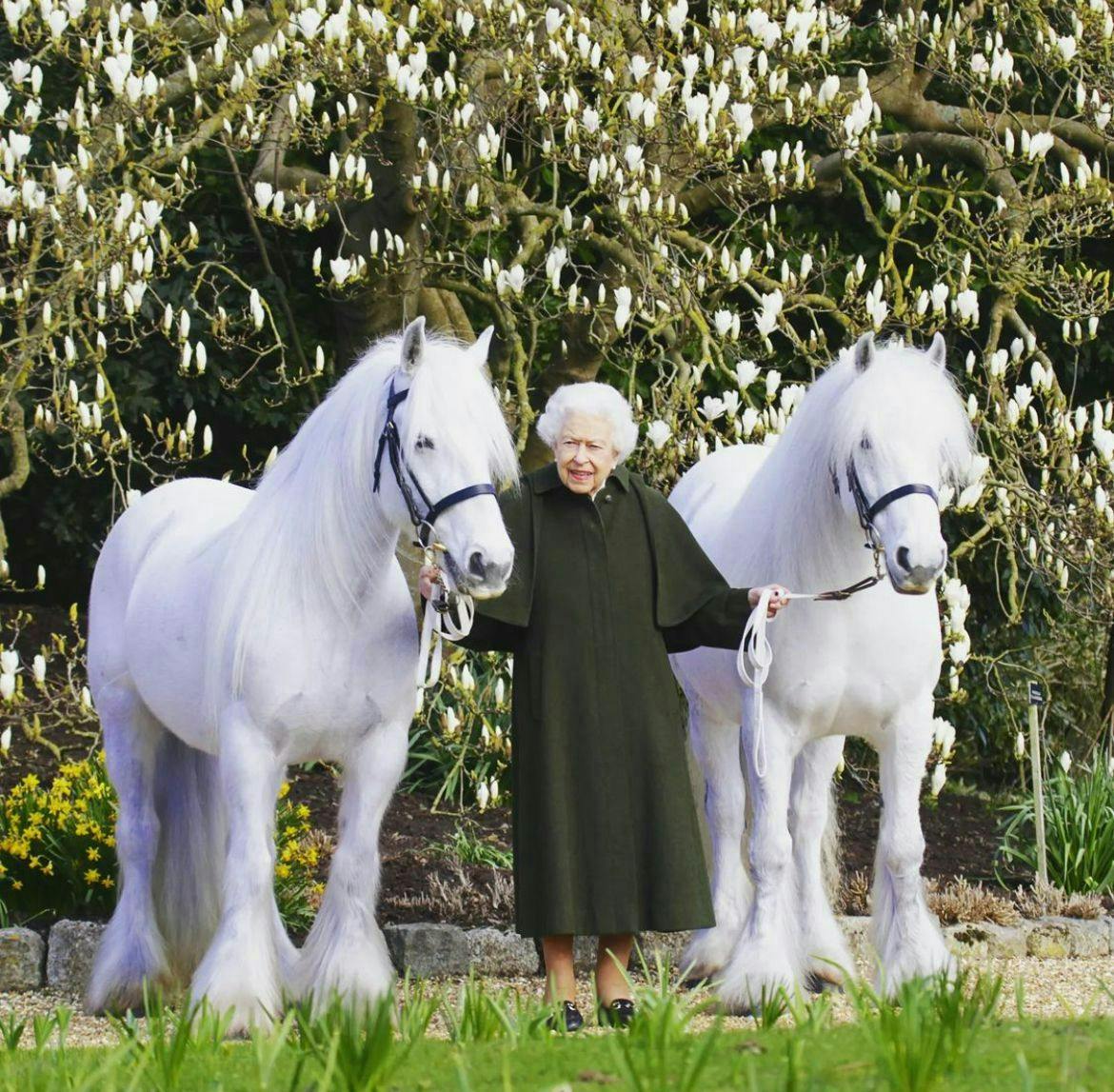 La Regina Elisabetta II il giorno del suo 96esimo compleanno