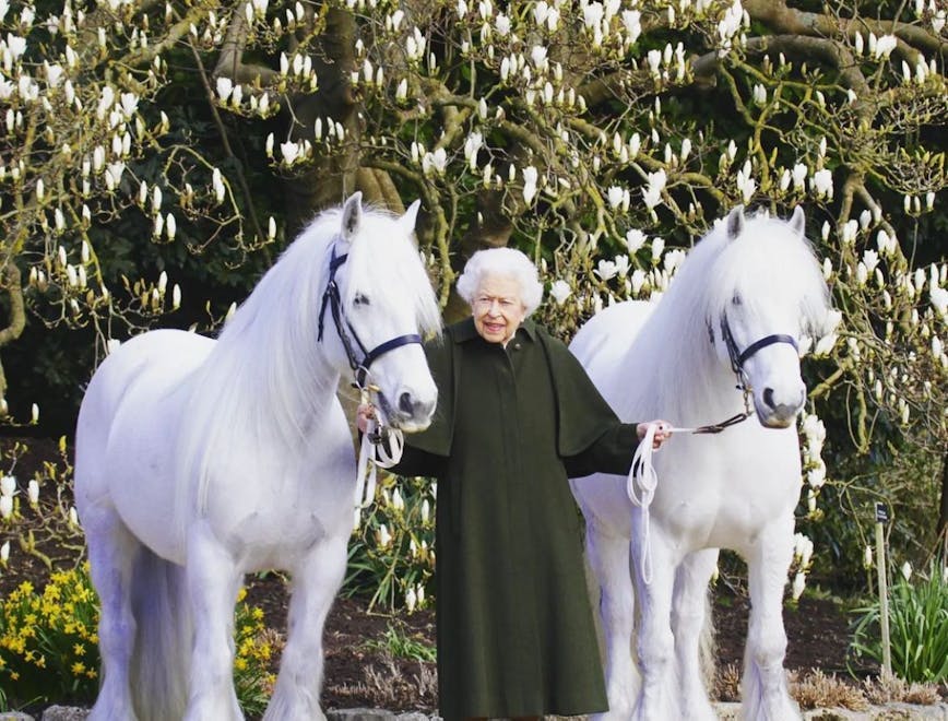 La Regina Elisabetta II il giorno del suo 96esimo compleanno