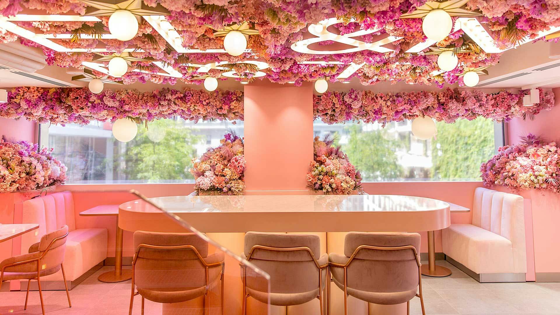 chair furniture interior design indoors room plant lobby reception flower blossom