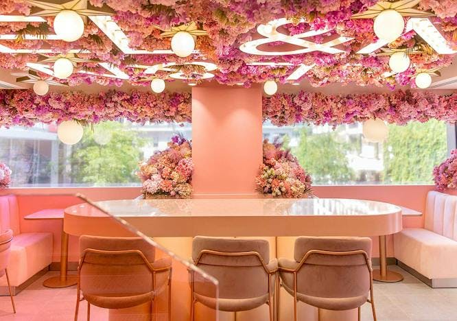 chair furniture interior design indoors room plant lobby reception flower blossom
