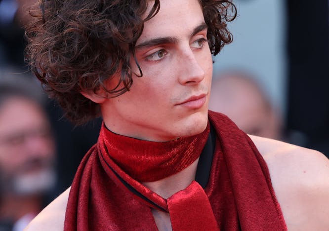 Timothée Chalamet photo by Getty Images