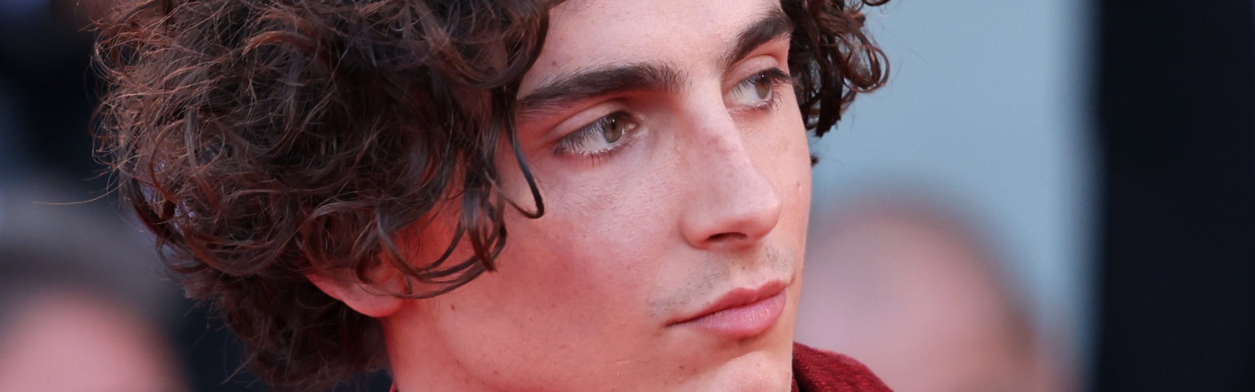 Timothée Chalamet photo by Getty Images