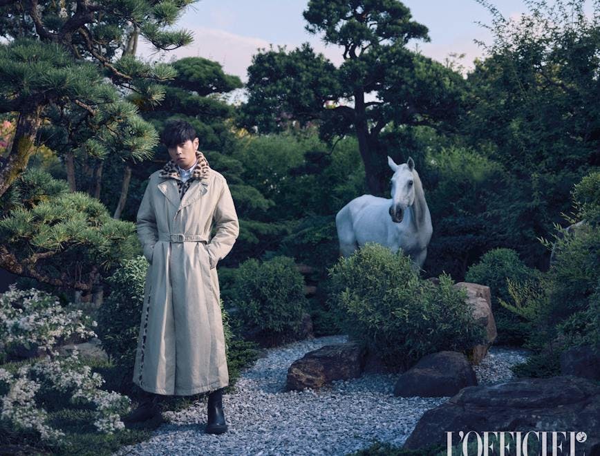 clothing coat overcoat person plant tree dress horse fashion long sleeve