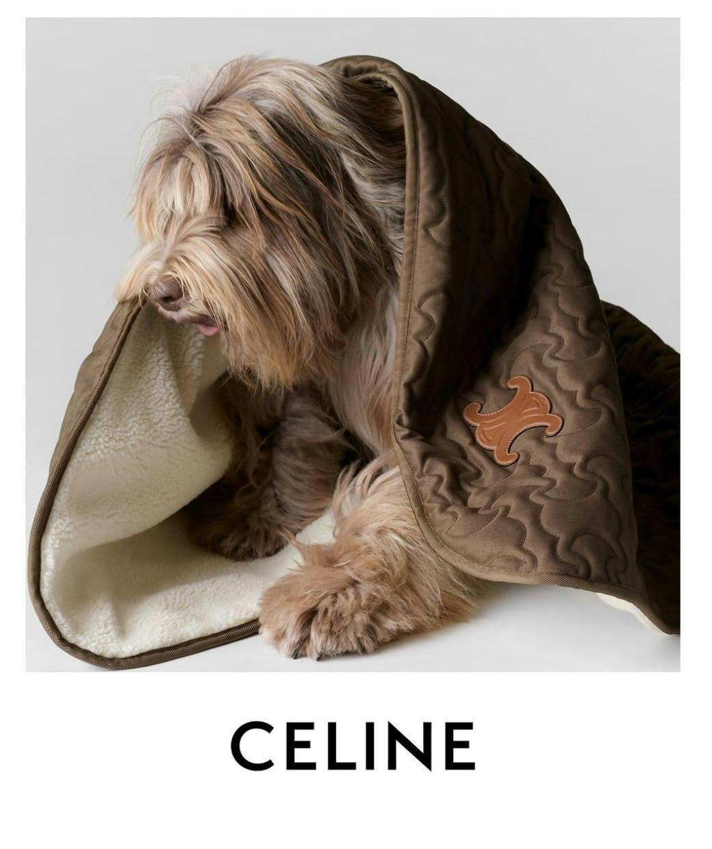Celine Dog Accessories Collection - Scialle e custodia in pelle di vitello € 1.200 (Courtesy of press)