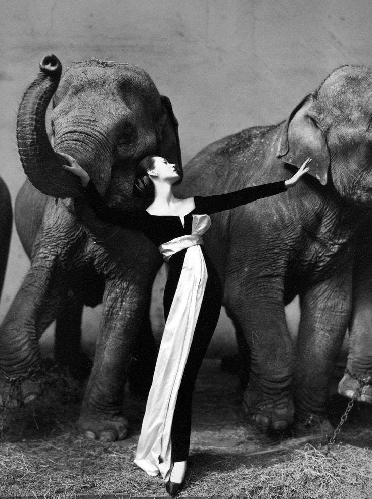 Richard Avedon, Dovima with Elephants, Evening Dress by Dior, Cirque d’Hiver, Paris © The Richard Avedon Foundation Courtesy Gagosian
