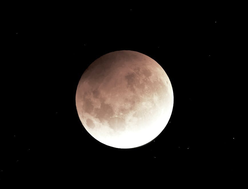 bestof topix auckland nature night outdoors astronomy moon eclipse lunar eclipse
