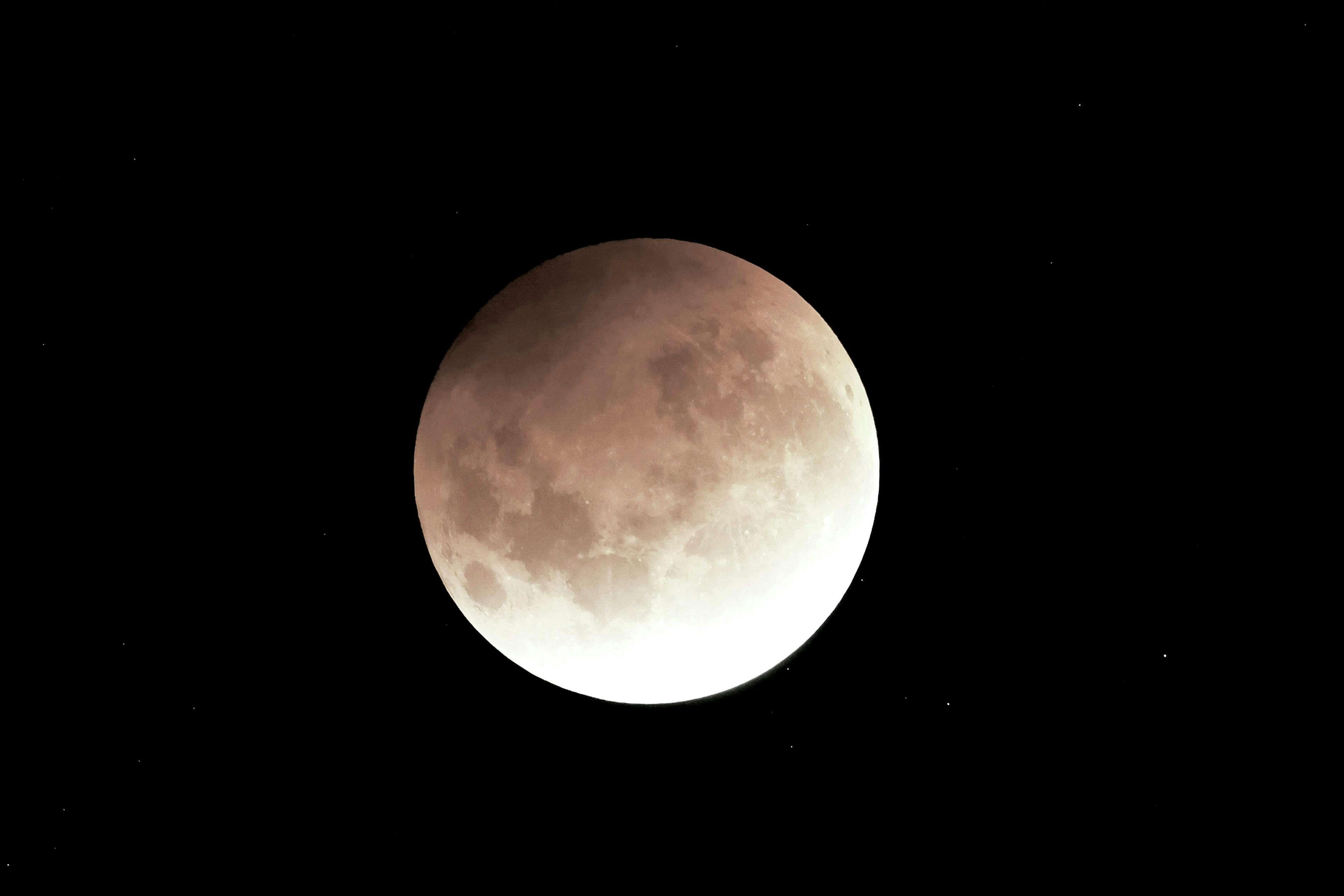 bestof topix auckland nature night outdoors astronomy moon eclipse lunar eclipse