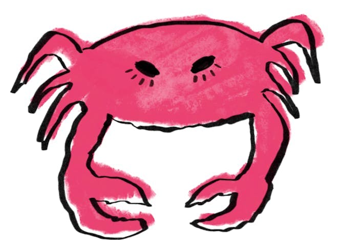 food seafood animal crab invertebrate sea life face head person baby